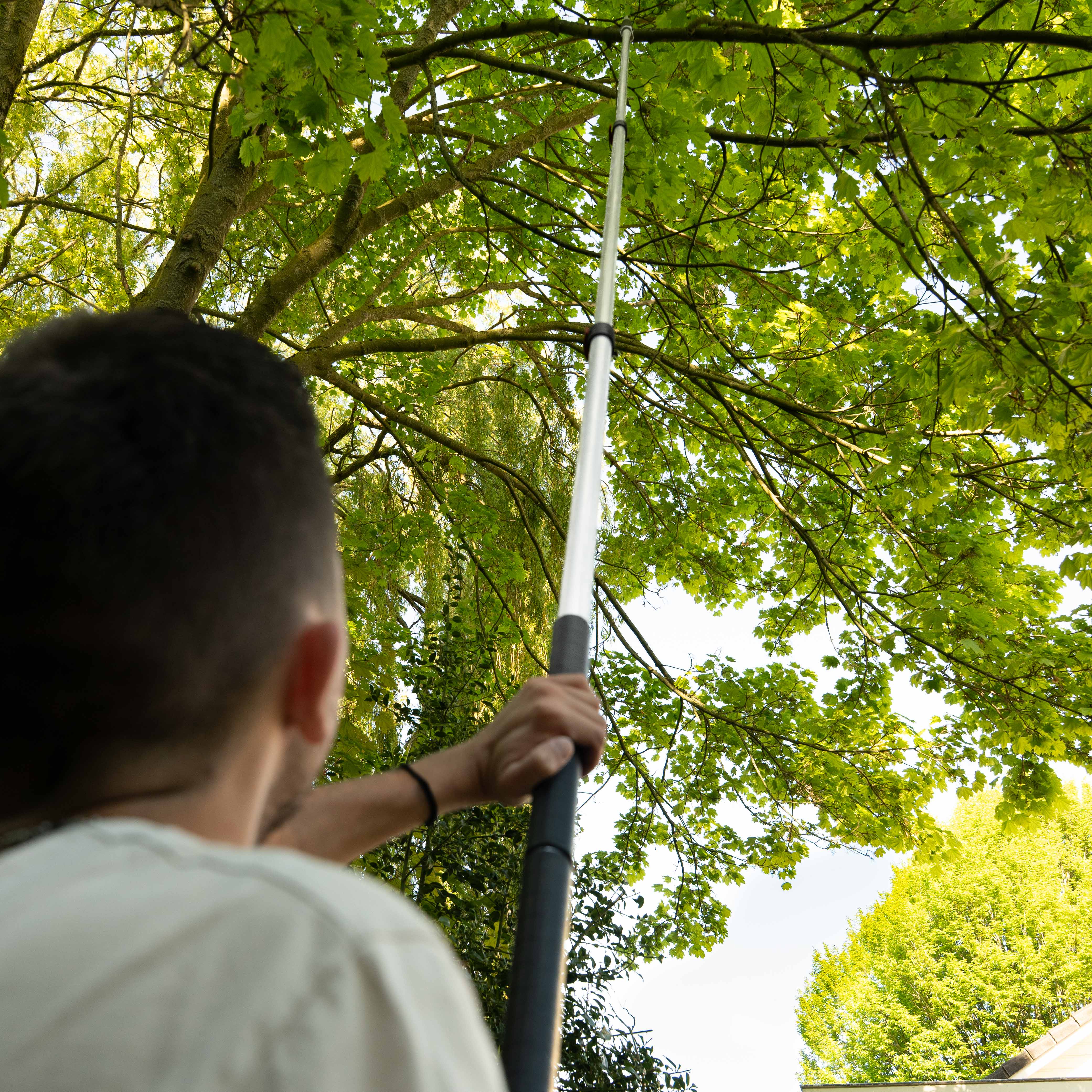 Boom zagen met telescopische takkenschaar