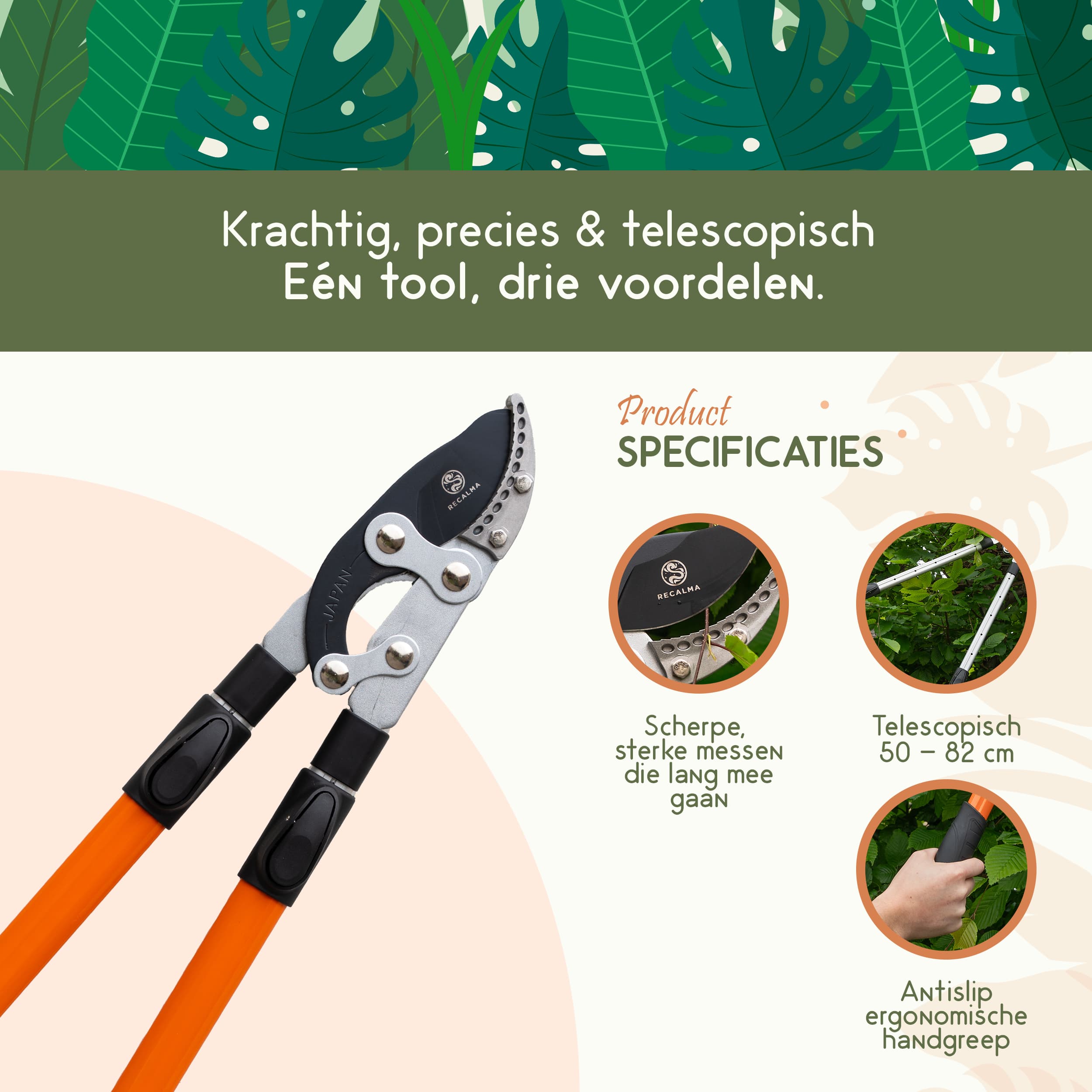 Telescopische takkenschaar met scherpe messen