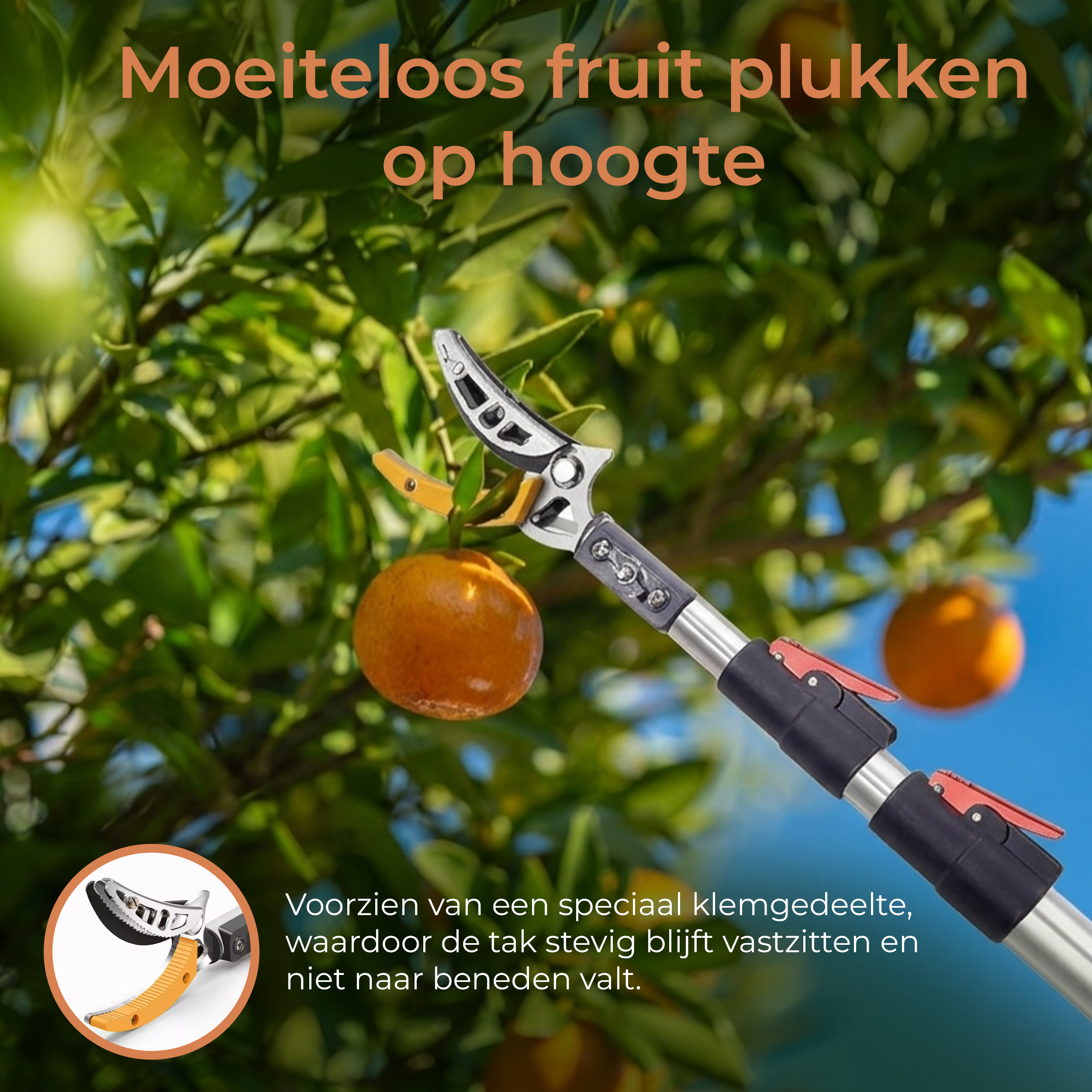 Recalma Telescopische takkenschaar met zaag (140–300 cm) – Uitschuifbare snoeischaar voor hoge takken