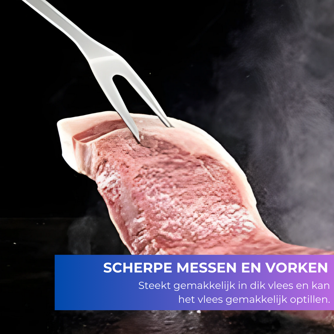 Recalma 18-delige BBQ-accessoireset – Roestvrij Staal met Nylon Draagtas