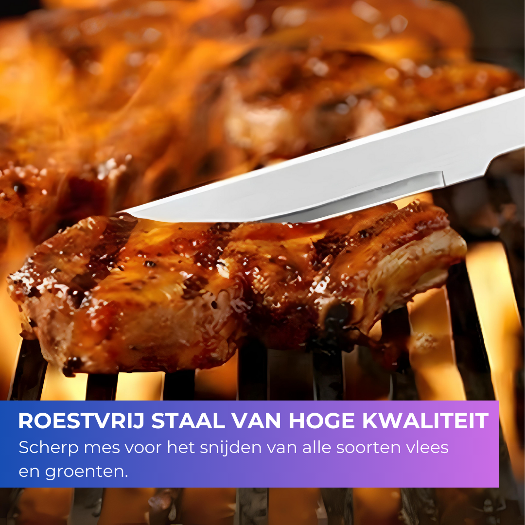 Recalma 18-delige BBQ-accessoireset – Roestvrij Staal met Nylon Draagtas