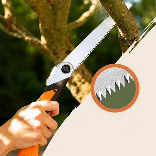 Zaag takken en hout