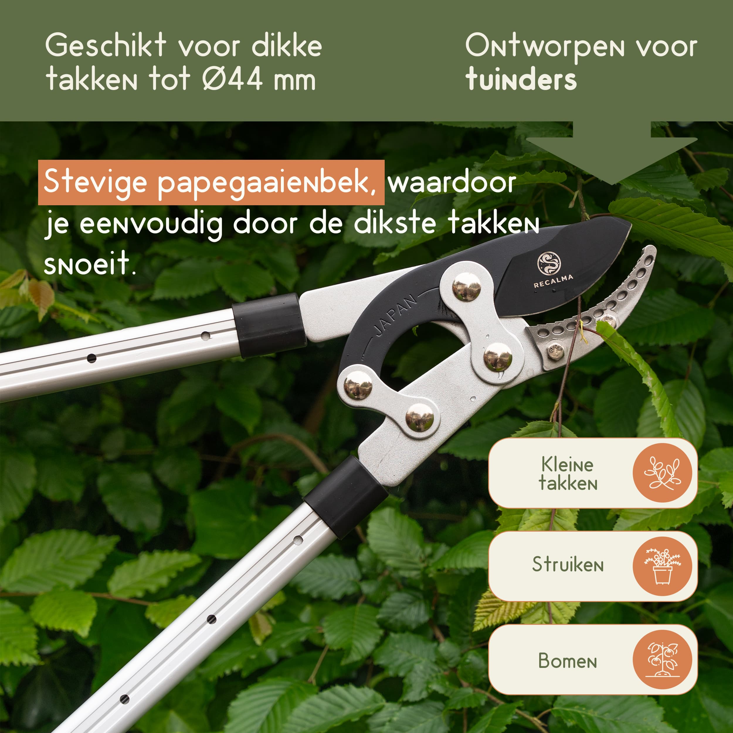 Telescopische takkenschaar met papegaaienbek